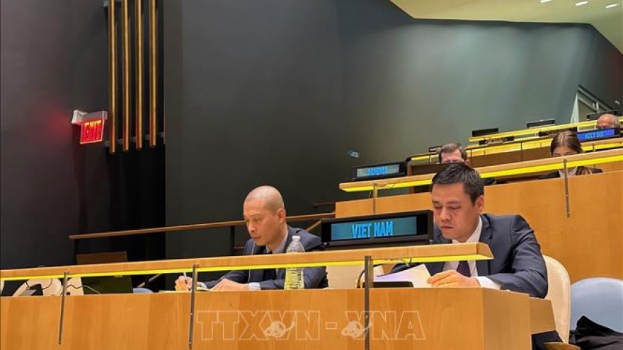 Vietnam emphasises international resources for causes of peace and development
